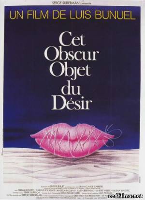 скачать Этот смутный объект желания / Cet obscur objet du desir (1977) DVDRip бесплатно