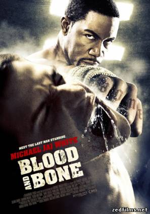 Кровь и кость / Blood and Bone (2009) BDRip