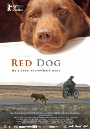 скачать Рыжий пес / Red Dog (2011) HDRip бесплатно